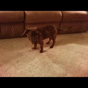 Meet your Posher, Gabriel